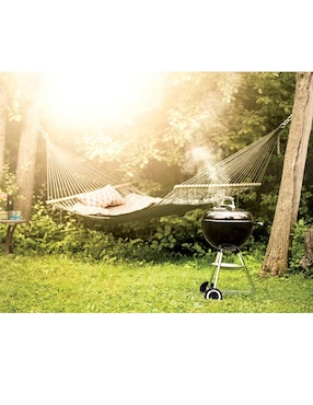 Asador de carbón Weber