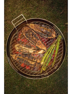 Asador al carbón Tramontina TCP 400 de acero inoxidable