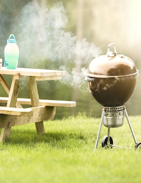 Asador de carbón Weber