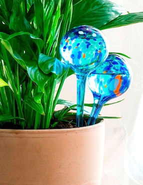 Globos de riego automático Innova Goods