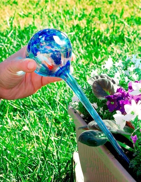 Globos de riego automático Innova Goods