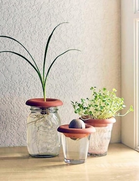Germinador de Semillas Kikkerland 3 piezas
