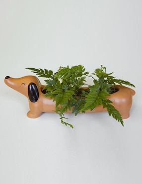 Maceta Kikkerland Perro de porcelana con sistema automático de riego