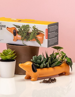Maceta Kikkerland Perro de porcelana con sistema automático de riego