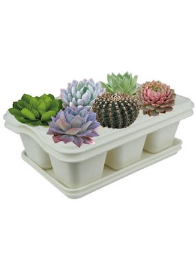 Maceta Smart Garden de plástico con sistema automático de riego