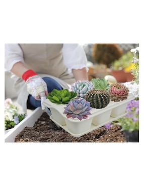 Maceta Smart Garden de plástico con sistema automático de riego