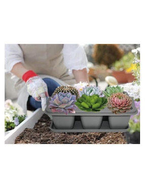 Maceta Smart Garden de plástico con sistema automático de riego