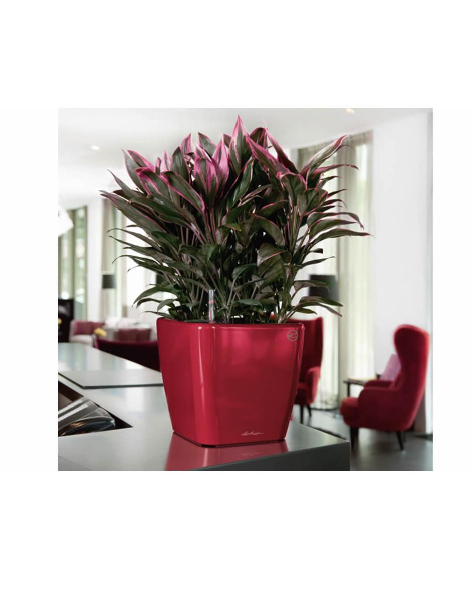 Maceta Lamela ML059 Color Rojo - Plástico, 15.5x15.5x16 Cm, Decoración Hogar Y Jardín