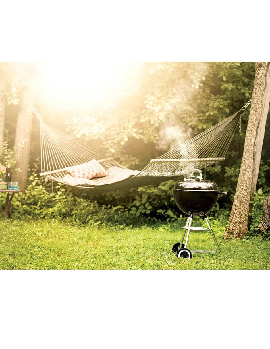 Asador de carbón 2