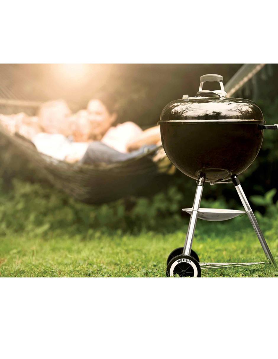 Asador de carbón 3