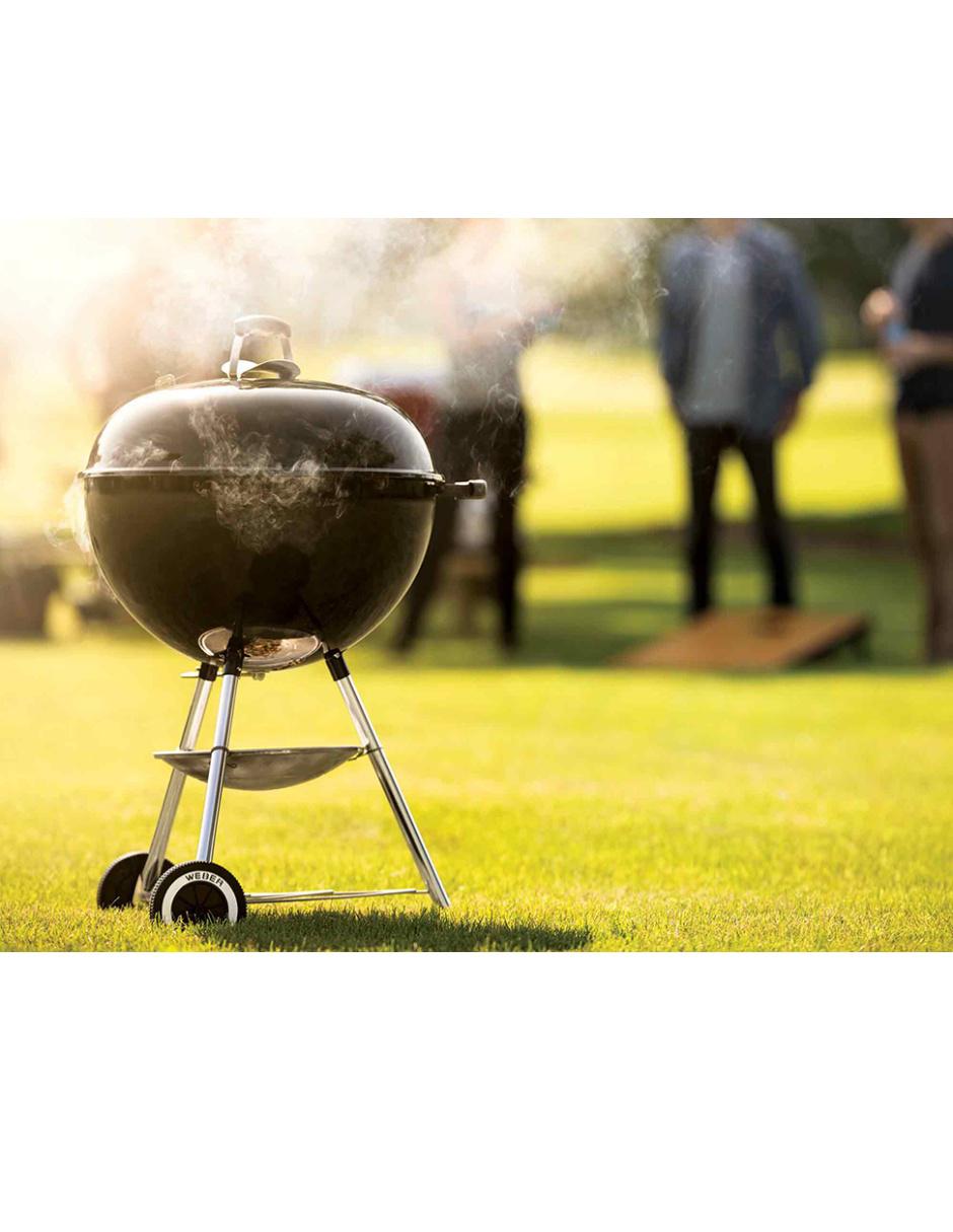 Asador de carbón 6