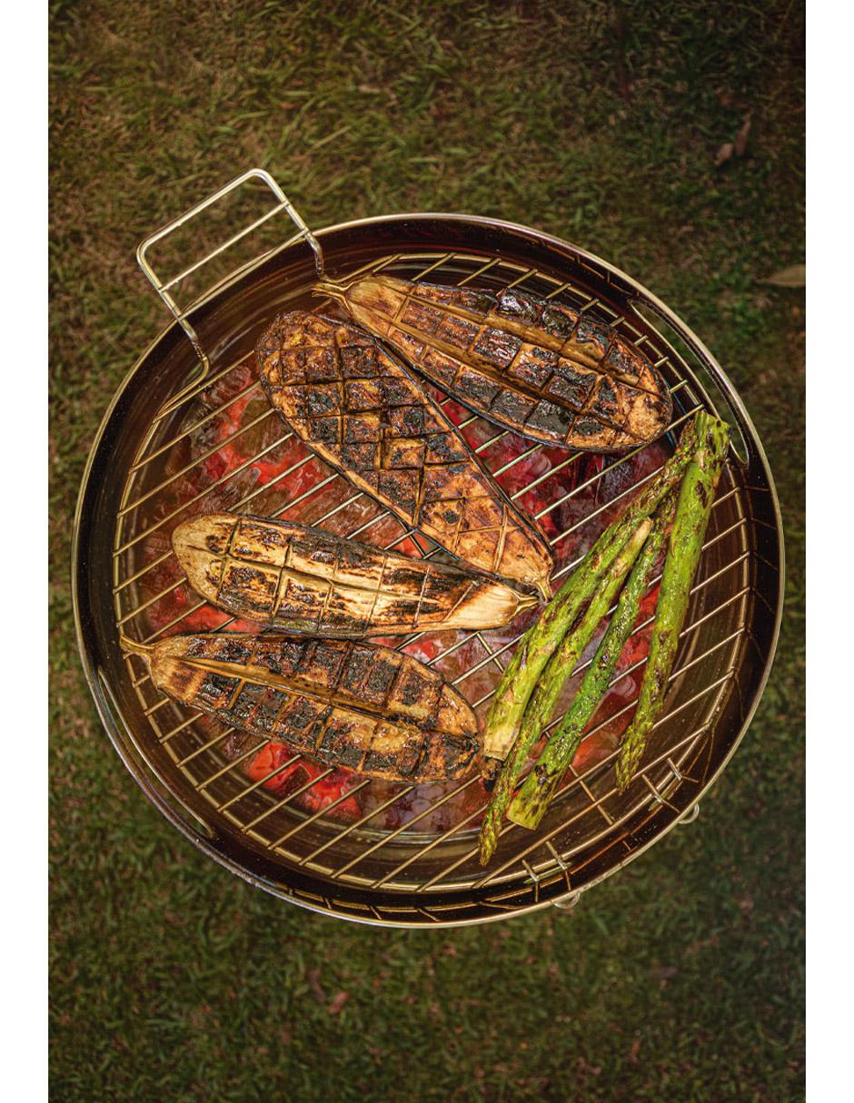 Asador al carbón TCP 400 de acero inoxidable 3