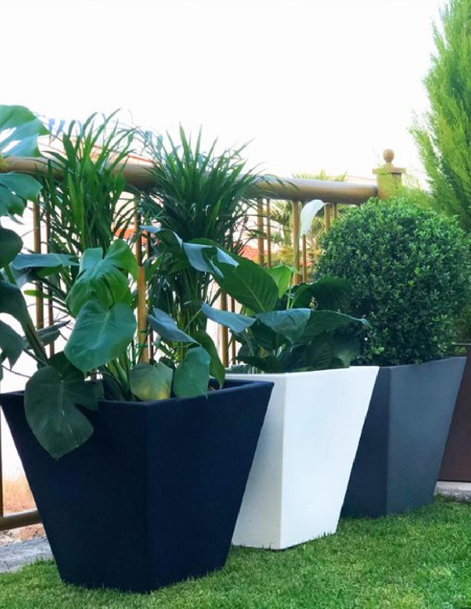 Maceta New Garden Camomila