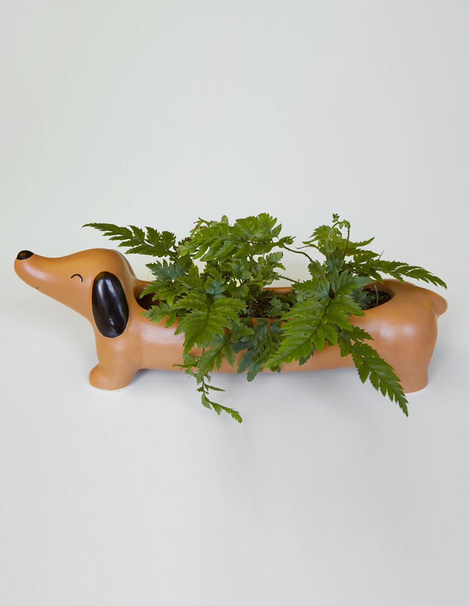 Maceta Perro de porcelana con sistema automático de riego 2