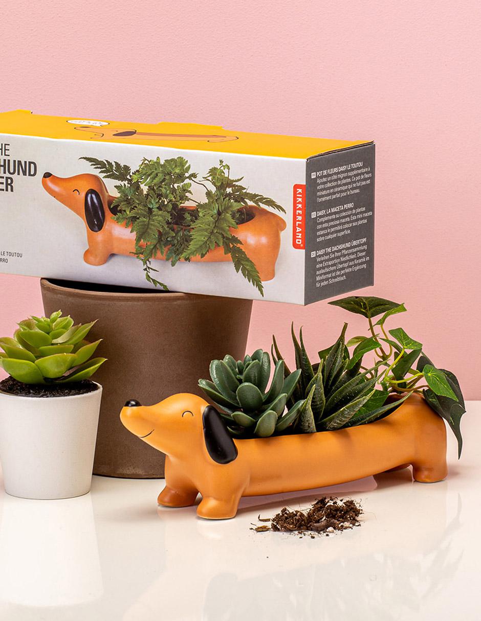 Maceta Perro de porcelana con sistema automático de riego 4