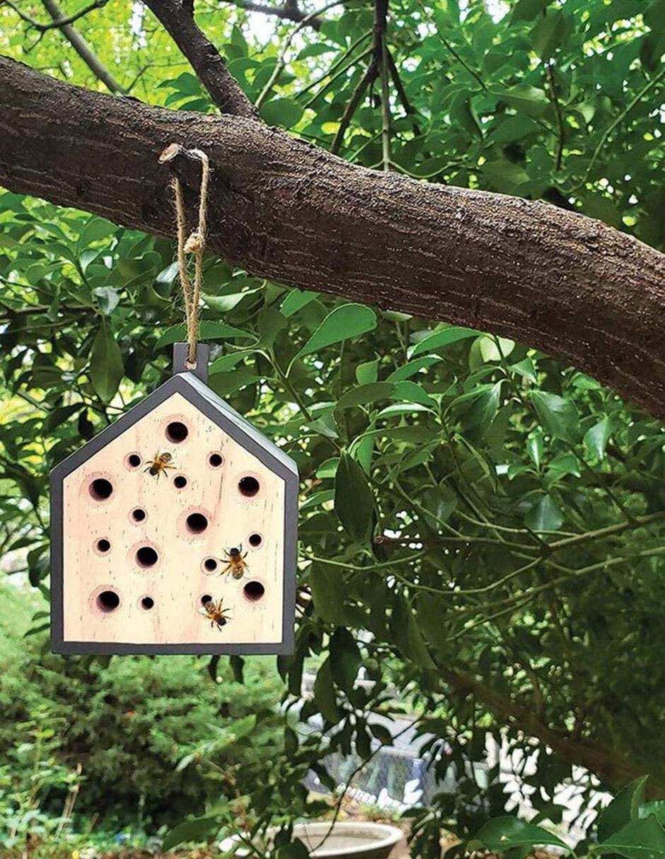 Pequeña casa de abejas 3