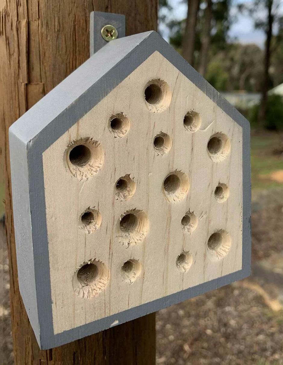 Pequeña casa de abejas 4