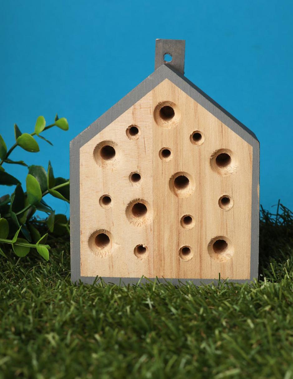 Pequeña casa de abejas 5