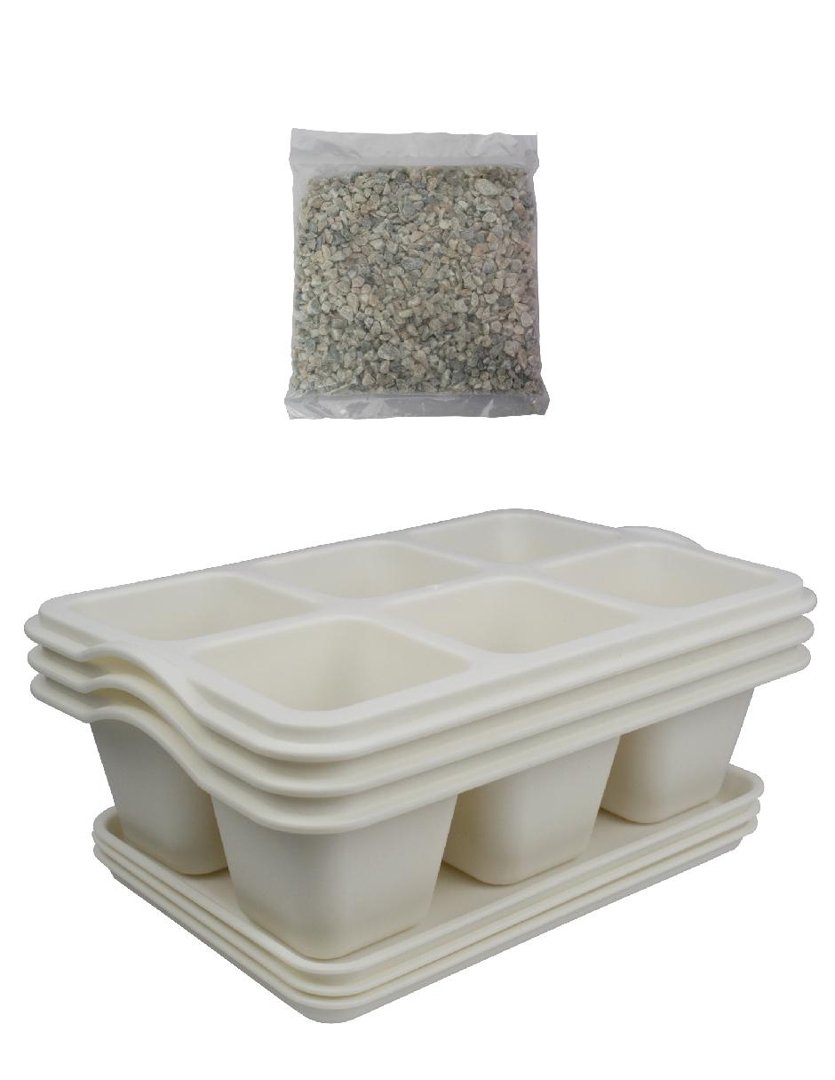 Kit de charolas para suculentas con sistema automático de riego 2